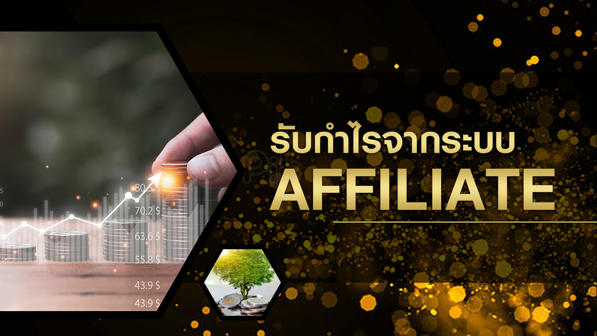 03-รับกำไรจากระบบ affiliate 03-รับกำไรจากระบบ affiliate